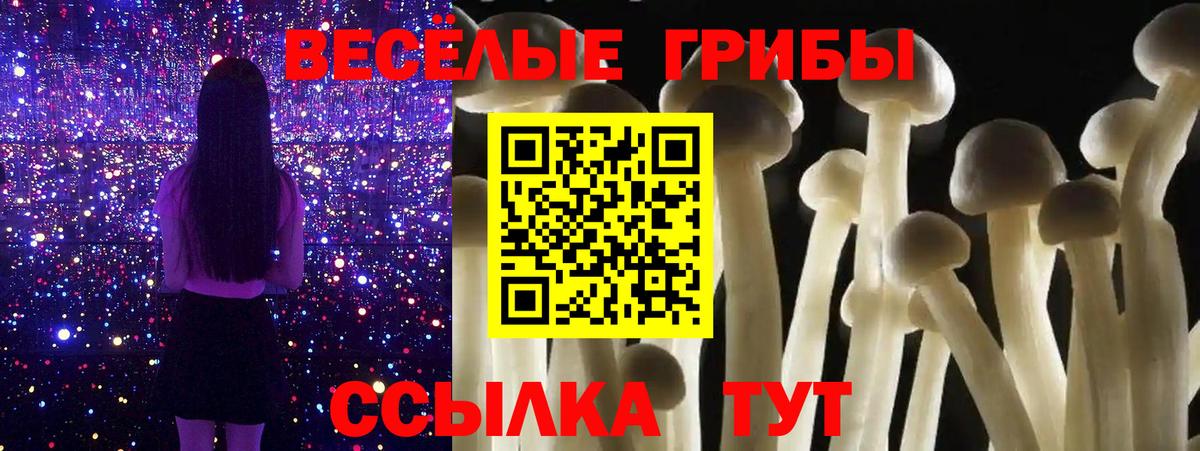 Псилоцибиновые грибы Cubensis  Вход с VPN  Ялуторовск 